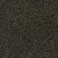 NEVADA_MOCCA