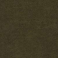NEVADA_MOOS