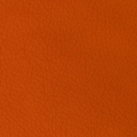 24LONGL_ORANGE