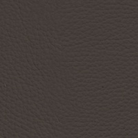 24LONGRU_BROWN