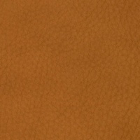 31LONGL_COGNAC
