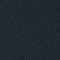 31LONGSO_BLUE