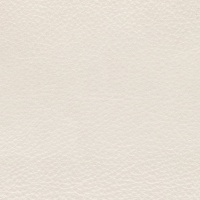 ELEGANZA_WING