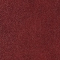 ELEGANZA_CAMPAR