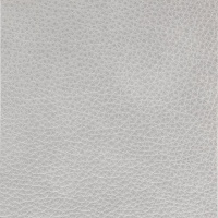 ELEGANZA_COALA