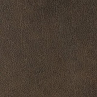 ELEGANZA_FOREST