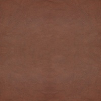 Revolution Tan