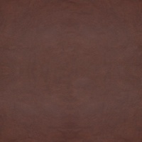 Revolution Chocolate