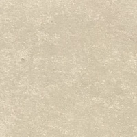 Riga Silver