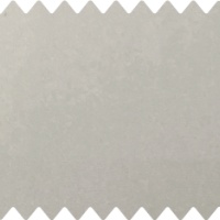 Regent Silver