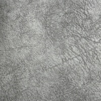 Kenzo Silver