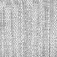 Costa Silver