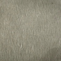 Lynx Khaki