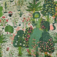 Rajasthan Spring