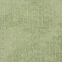 Celery