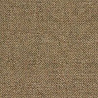 Montauk Plain Gold