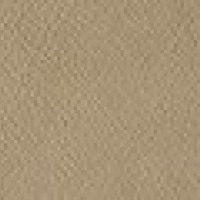 P219 - Capri Putty