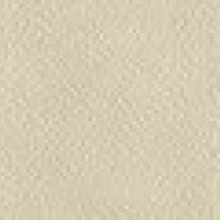 P220 - Capri Chalk