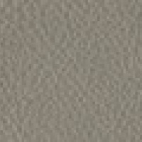 P222 - Capri Grey