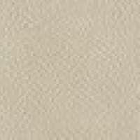 P231 - Capri Stone