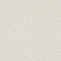 H005 - Oxford Chalk