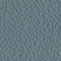 Paloma Sparrow Blue