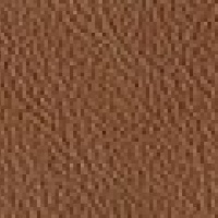 Paloma Copper