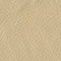 Paloma Beige