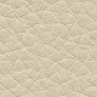 P320 - Husk Alabaster
