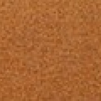 Calido Saffron