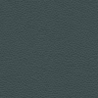 L852 - Cambridge Petrol Blue