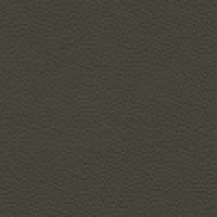 L849 - Cambridge Earth