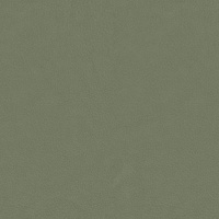 N011 Genesis Seafoam