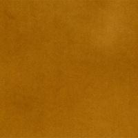 Festival Mustard