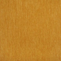 Izzie Ochre