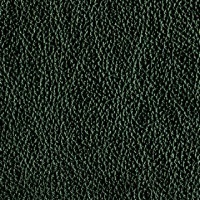 Antique Green