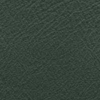 Lena Bottle Green