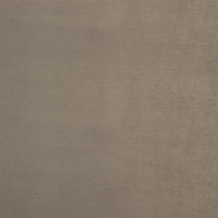 Plush Beige