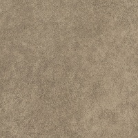 Nautilus Taupe