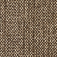 Oasis Brown