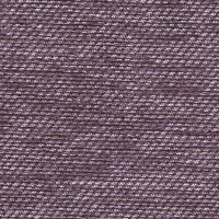 Bergamo Plum