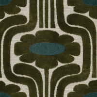 Climbing Daisy Tidepool