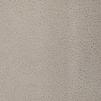 Dove Grey