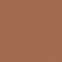 N001 - Texas Tan