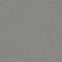 N002 - Texas Charcoal