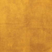 Treviso Turmeric