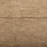 Varenesi Bark