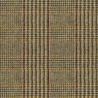 Dogtooth Bronze