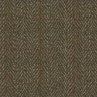 Herringbone Fern