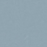 L857 - Cambridge Sky